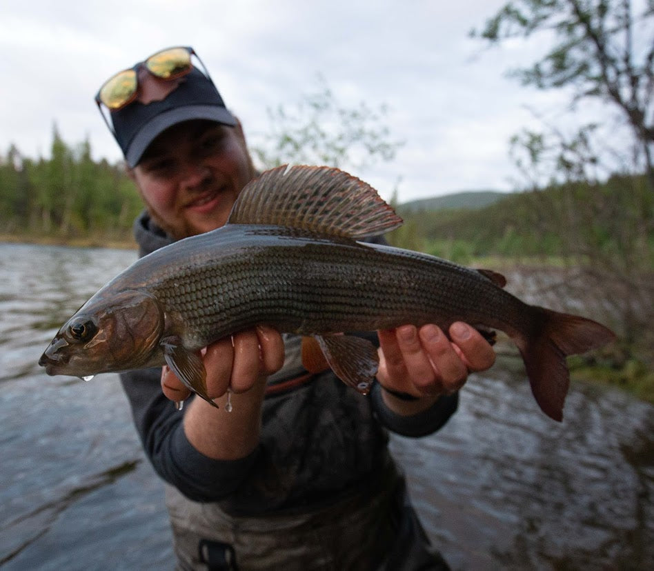 Fishing in Lapland, Sweden
