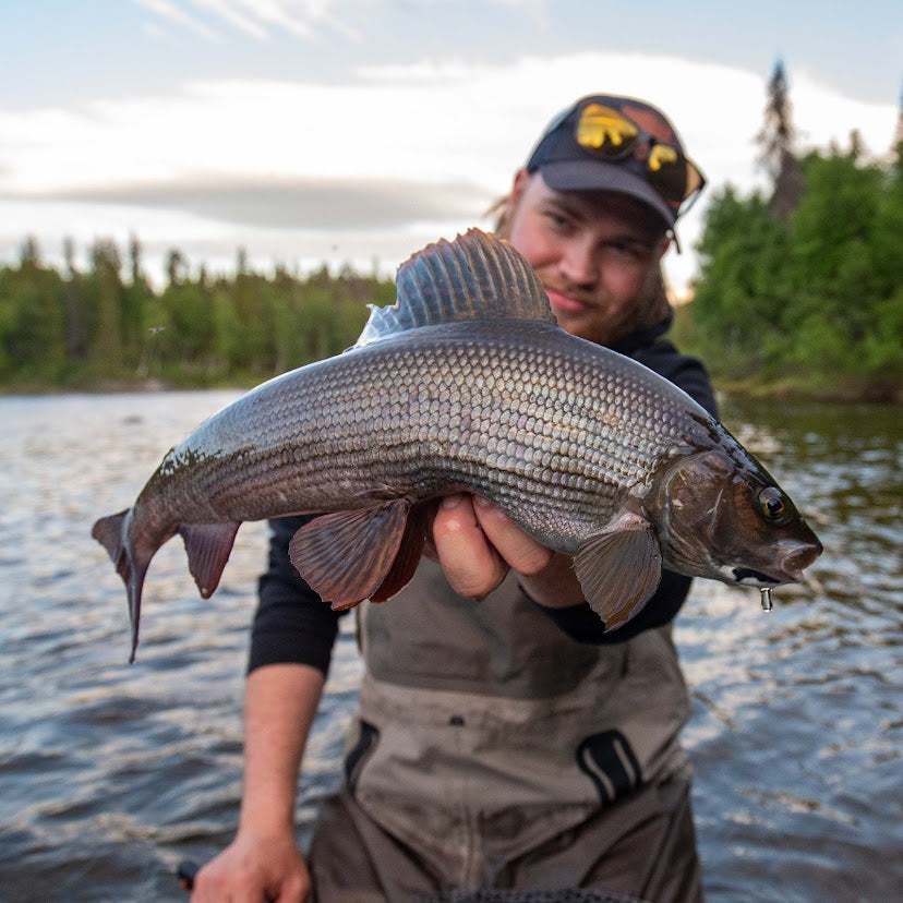 Fishing in Lapland, Sweden