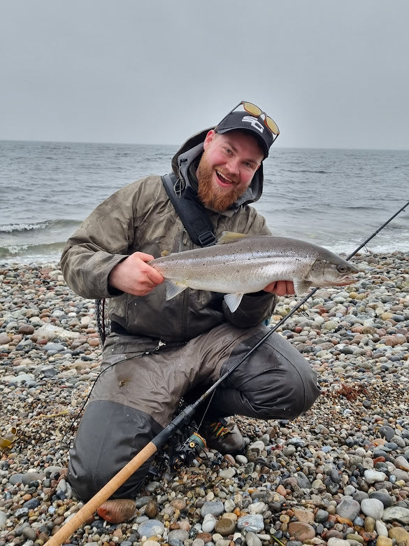 Seatrout fishing in Denmark