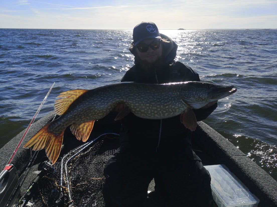 Pike fishing in Sweden