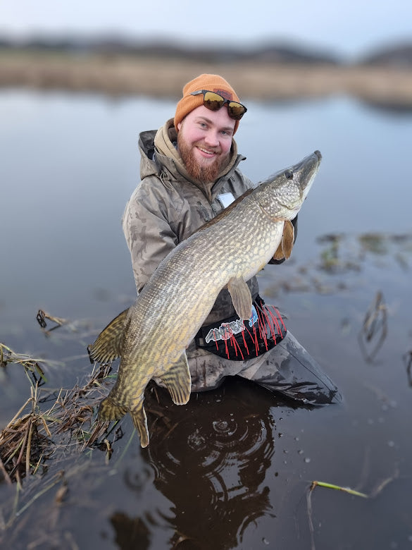 Pike fishing in Denmark