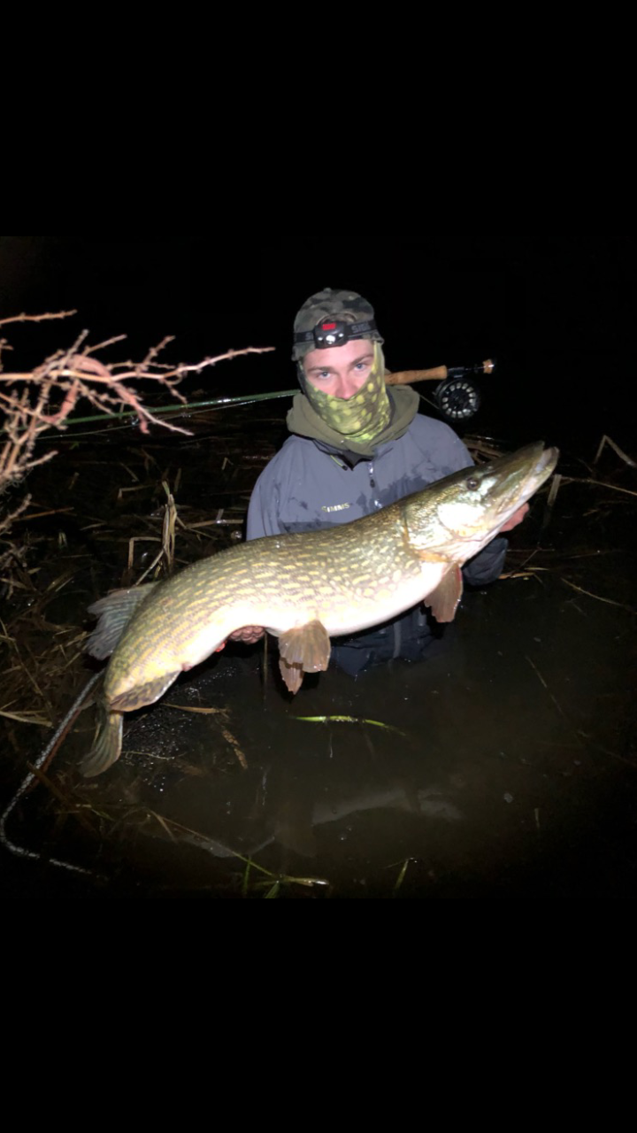 Pike fishing in Denmark