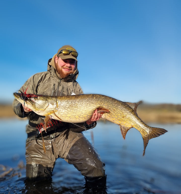 Pike fishing in Denmark