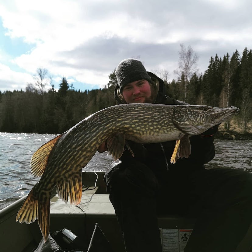Pike fishing in Sweden