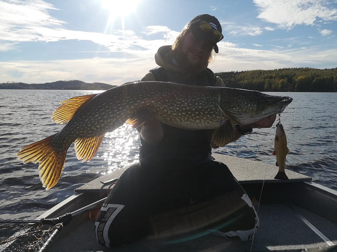 Pike fishing in Sweden