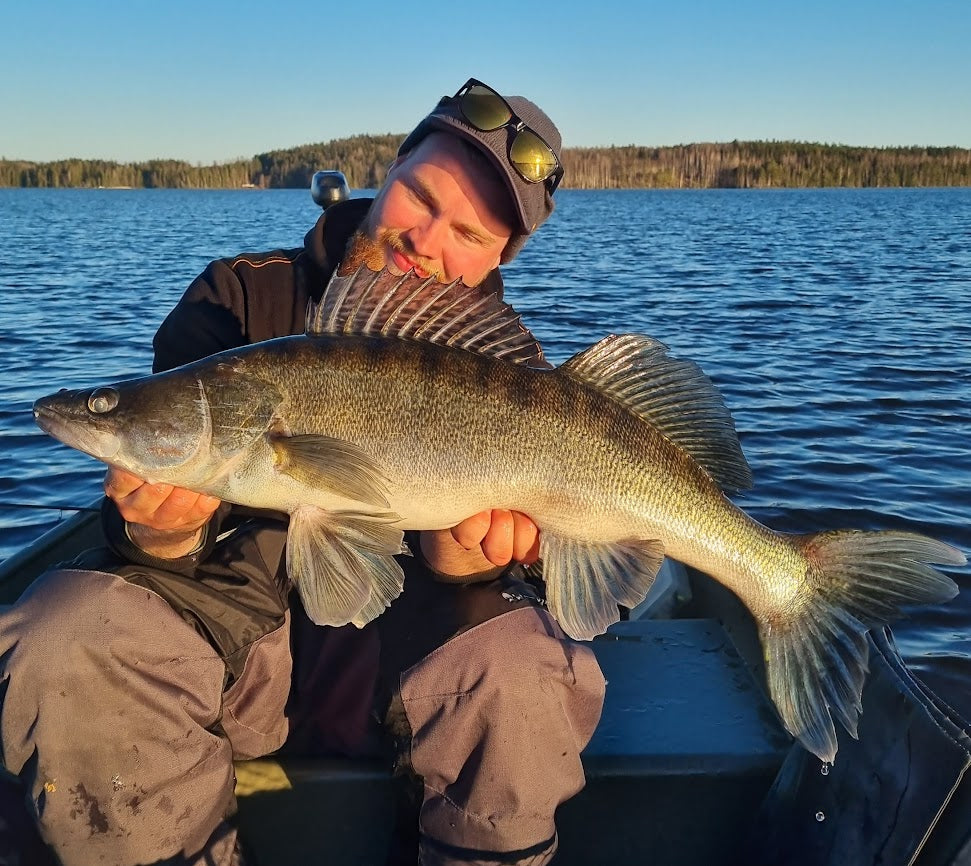 Zander fishing in Sweden